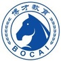深圳博才教育ico