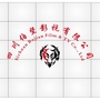 四川伯坚影视ico