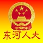 东河人大ico