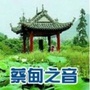 蔡甸之音ico