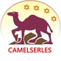 骆驼伙伴CAMELSERLES公众号ico