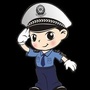 宝鸡交警巡查大队ico