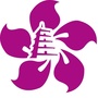 紫荆知产ico