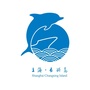 上海市长兴岛开发办ico