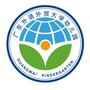 广东外语外贸大学幼儿园ico
