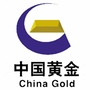河南金源ico