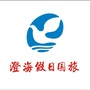 澄海假日国旅ico