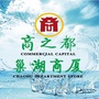 巢湖商之都ico