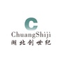 湖北创世纪公司ico