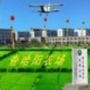 黑龙江省查哈阳农场ico