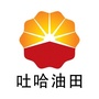 吐哈油田ico