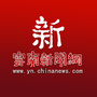 云南新闻网ico