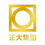 正大之窗公众号ico
