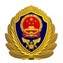 秀山县消防救援大队ico