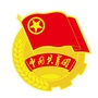 合川共青团ico