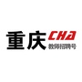 重庆市教师招聘号ico