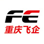 重庆飞企互连科技ico