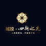 城投四新之光ico