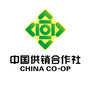 昌邑供销联社ico