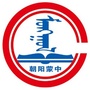 朝阳县蒙古族中学ico