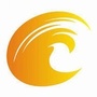 郴州七星传媒ico