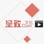 广西视点ico