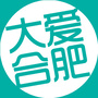 大爱合肥ico