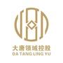 大唐领域控股ico