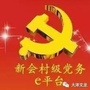 大泽文龙ico