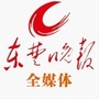 东楚晚报ico