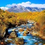 稻城亚丁旅行ico