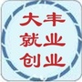 大丰就业创业ico
