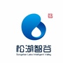 松湖智谷ico