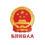 东莞长安人大ico