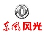 东风风光东莞中力旗舰店ico