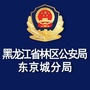 东京城林业地区公安ico