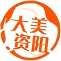 大美资阳ico