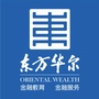 东方华尔ico