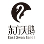 东方天鹅芭蕾艺术中心ico