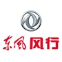东风风行公众号ico