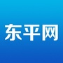 东平网ico