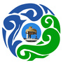 东胜网信ico