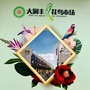 大润丰花鸟市场公众号ico