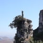 大山面貌ico