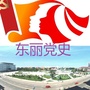 东丽党史ico