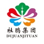 杜鹃集团ico