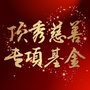 顶秀慈善专项基金ico