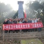 大祥卫计党支部ico