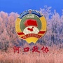 河口政协ico