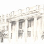 华东师范大学公众号ico